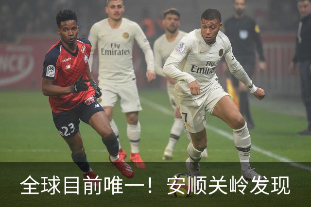 全球目前唯一！安顺关岭发现